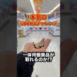 鹿児島最大の倉庫系ゲーセンで本気の5000円チャレンジをしてみたら、、、 #shorts #クレーンゲーム #ufoキャッチャー #ゲーセン #ゲームセンター #arcade #clawmachine
