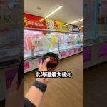 プロが北海道最大級のゲーセンで5000円チャレンジをしたらまさかの結果に、、、#shorts #クレーンゲーム #ufoキャッチャー #ゲーセン #ゲームセンター  #万代BiVi新さっぽろ店