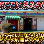 【5年前の激レア景品が普通に存在】ネットに情報が存在しないゲーセンに突撃したらまさかの景品を発見したんだがwwww〜クレーンゲーム・UFOキャッチャー〜
