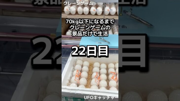 体重70kg以下になるまで1日1000円しか使えないクレーンゲームの景品だけで生活22日目 #クレーンゲーム #ufoキャッチャー #clawmachine #ゲームセンター #ゲーセン #フック設定
