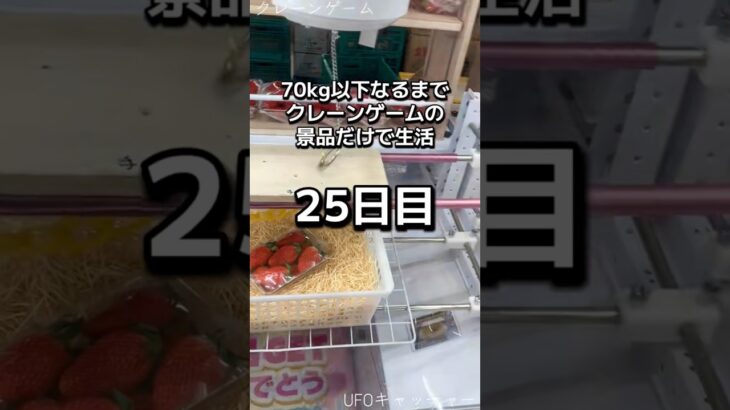 体重70kgになるまで1日1000円しか使えないクレーンゲームの景品だけで生活25日目 #クレーンゲーム #clawmachine #ufoキャッチャー #ゲームセンター #フック設定