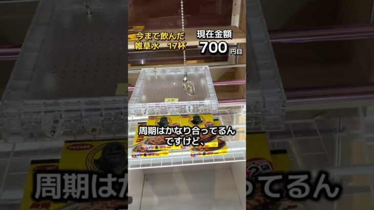 体重70kg以下までクレーンゲームの景品だけで生活21日目 #クレーンゲーム #clawmachine #ufoキャッチャー #ゲームセンター #ゲーセン