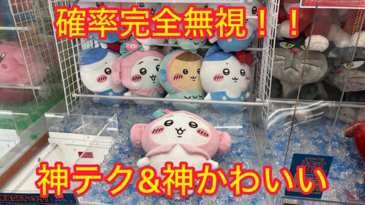 【ちいかわ】サンリオキャラクターズBIGぬいぐるみをゲットしたよ♡