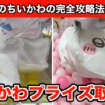 【クレーンゲーム】ちいかわ・おふとんぬいぐるみティッシュケースとおかおBIGボストンバッグ②攻略５選