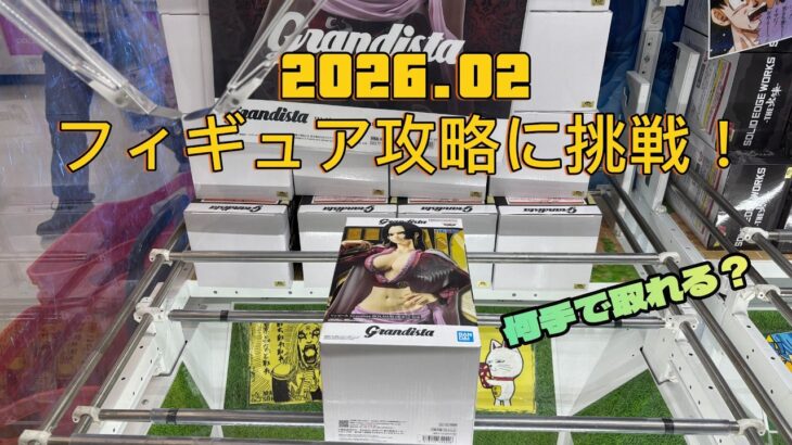 【クレーンゲーム】ワンピースBOA.HANCOCK＆サンリオに挑戦！