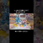 【ミラクルこねこ】エネコをまさかの方法でGET！！　　#ポケットモンスター #ポケモン #pokemon #ぬいぐるみ #クレーンゲーム