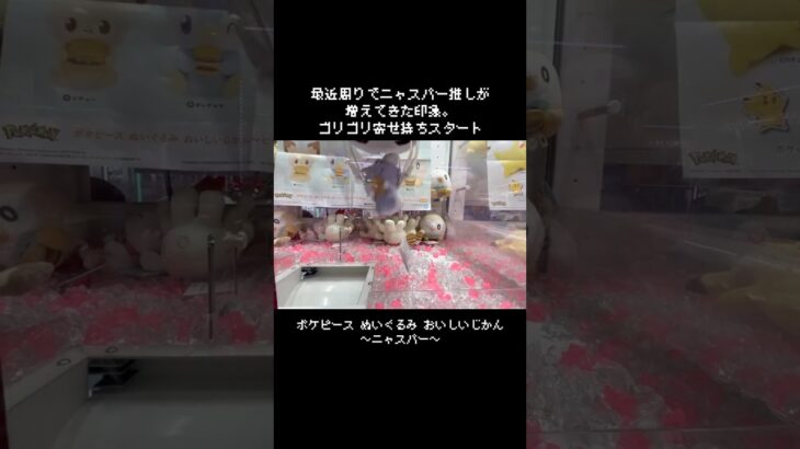 【推し増加中】ニャスパー～ポケピース ぬいぐるみ おいしいじかん～GET！！　　#ポケットモンスター #ポケモン #pokemon #ぬいぐるみ #クレーンゲーム