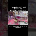 【こんな日があってもいい】ピチュー～ポケピース ぬいぐるみ おいしいじかん～GET！！　　#ポケットモンスター #ポケモン #pokemon #ぬいぐるみ #クレーンゲーム