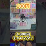 【GIGO限定】うるちゅるシールをクレーンゲームで取る！ #ゲームセンター #クレーンゲーム #gigo