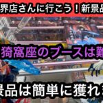新景品の義勇と猗窩座のブースが難しすぎた…他はサクサク獲てて最高！【結屋】【クレーンゲーム】【JapaneseClawMachine】【인형뽑기】【日本夾娃娃】