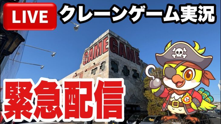 【クレーンゲームLIVE】実店舗で生配信！新景品導入前にプライズフィギュア設定に挑戦🔥