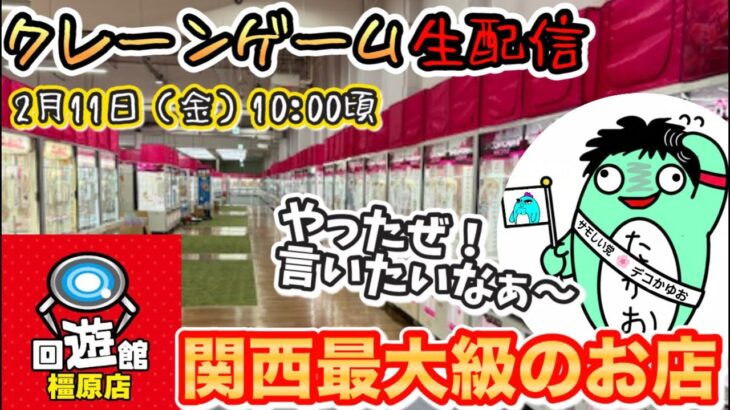 【クレーンゲームLIVE】2月の新景品を関西最大級のゲーセン回遊館橿原店さんでたくさんゲットしたい‼️
