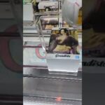 【クレーンゲームLIVE】2/17 ベネクス浦和店さんより、新景品を少し遊んで帰ります