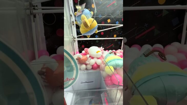 長野県のゲームセンターPALO諏訪店の閉店最終日ならめっちゃ景品取れそう#クレーンゲーム #ufoキャッチャー #ゲームセンター #長野県