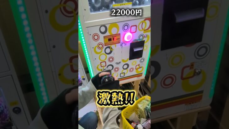 Switch2出るまで1000円ガチャやった結果⑤