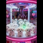 【癒やし】クレーンゲームの景品が可愛すぎて、全部獲りたくなった結果 #クレーンゲーム #UFOキャッチャー #犬 #かわいい #癒やし #擬態 #ai #aidog #aipets #capcut