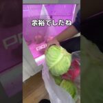 お野菜いっぱい乱獲してみた#UFOキャッチャー #クレーンゲーム  #ゲームセンター #攻略 #shorts  #youtubeshorts