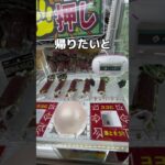 キャンデーとカルパス大作戦#UFOキャッチャー #クレーンゲーム  #ゲームセンター #攻略 #shorts  #youtubeshorts