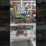 コストコ商品取ってみた#UFOキャッチャー #クレーンゲーム  #ゲームセンター #攻略 #shorts  #youtubeshorts