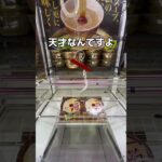 高級なカップ麺を食べ比べしてみた#UFOキャッチャー #クレーンゲーム  #ゲームセンター #攻略 #shorts  #youtubeshorts