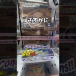 食パン祭りやってみた🏮#UFOキャッチャー #クレーンゲーム  #ゲームセンター #攻略 #shorts  #youtubeshorts