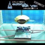 のんびりオンクレ、なんか(　ﾟдﾟ)ｸﾚ!! #clawmachine #オンクレ #クレーンゲーム #ゲット