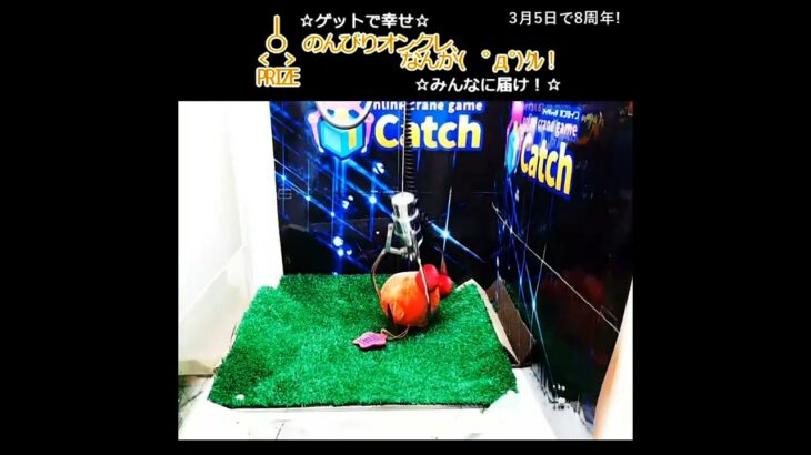 のんびりオンクレ、なんか(　ﾟдﾟ)ｸﾚ!! #clawmachine #cranegame #クレーンゲーム #運気アップ #Kirby