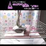 のんびりオンクレ、なんか(　ﾟдﾟ)ｸﾚ!! #clawmachine #cranegame #happy  #クレーンゲーム