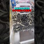 【うなぎ】ヌルヌル注意⚠️ #cranegame #ゲームセンター #ゲーセン #ufoキャッチャー #clawmachine #ゲーム #クレーンゲーム #攻略 #japan #arcade#うなぎ