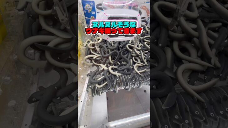 【うなぎ】ヌルヌル注意⚠️ #cranegame #ゲームセンター #ゲーセン #ufoキャッチャー #clawmachine #ゲーム #クレーンゲーム #攻略 #japan #arcade#うなぎ