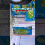 【大流行】ボンドロもボンボンも人気よね！ #クレーンゲーム #ゲームセンター #cranegame #ufoキャッチャー #ゲーセン #foryou #攻略 #clawmachine #ボンボン#裏技