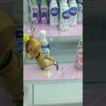 おたちゅう相模原店でカルピスオフの景品をゲット #shorts