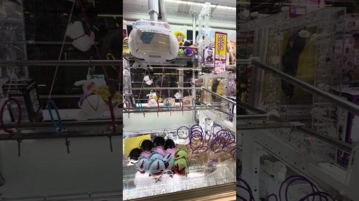 にゃんこ先生‼︎‼︎‼︎‼︎‼︎  #ゲーセン #shorts  #フック #夾娃娃機 #ゲームセンター #uFoキャッチャー #日本夾娃娃＃夾娃娃＃ゲーセン＃倉庫系 #クレーンゲーム