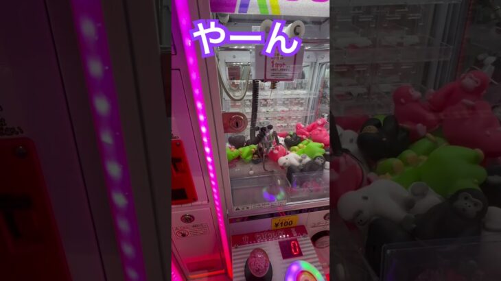 ゴリィラ #ゲーセン #shorts  #フック #夾娃娃機 #ゲームセンター #uFoキャッチャー #日本夾娃娃＃夾娃娃＃ゲーセン＃倉庫系 #クレーンゲーム #ゲッタースピン