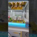 ダメだめダメ #ゲーセン #shorts  #フック #夾娃娃機 #ゲームセンター #uFoキャッチャー #日本夾娃娃＃夾娃娃＃ゲーセン＃倉庫系 #クレーンゲーム #ゲッタースピン