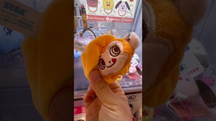 なんのキャラクターですか？ #ゲーセン #shorts  #フック #夾娃娃機 #ゲームセンター #uFoキャッチャー ＃夾娃娃＃ゲーセン＃倉庫系 #クレーンゲーム #ゲッタースピン