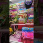 場外！　#ゲーセン #shorts  #フック #夾娃娃機 #ゲームセンター #uFoキャッチャー ＃夾娃娃＃ゲーセン＃倉庫系 #クレーンゲーム #ゲッタースピン