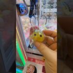 可愛いね、ほっぺちゃん　#ゲーセン #shorts  #フック #夾娃娃機 #ゲームセンター #uFoキャッチャー ＃夾娃娃＃ゲーセン＃倉庫系 #クレーンゲーム #ゲッタースピン
