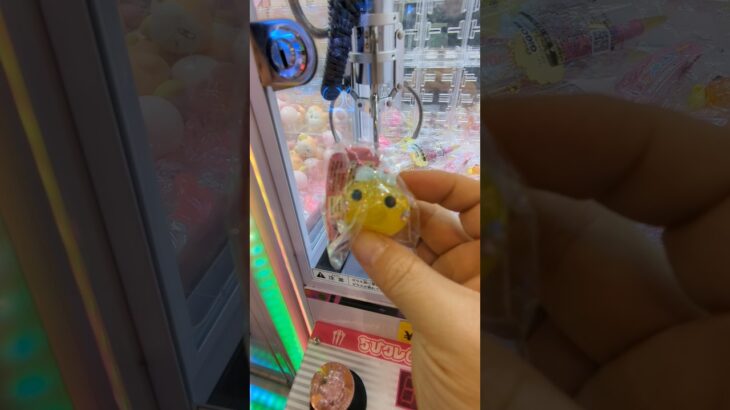 可愛いね、ほっぺちゃん　#ゲーセン #shorts  #フック #夾娃娃機 #ゲームセンター #uFoキャッチャー ＃夾娃娃＃ゲーセン＃倉庫系 #クレーンゲーム #ゲッタースピン