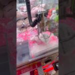 タグじゃま..　#ゲーセン #shorts  #フック #夾娃娃機 #ゲームセンター #uFoキャッチャー ＃夾娃娃＃ゲーセン＃倉庫系 #クレーンゲーム #ゲッタースピン