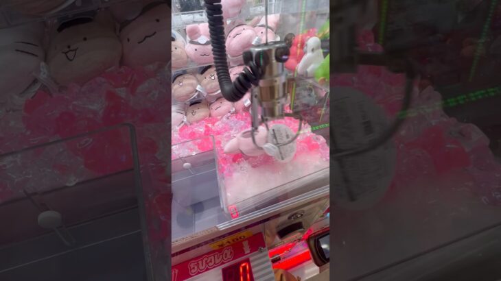 タグじゃま..　#ゲーセン #shorts  #フック #夾娃娃機 #ゲームセンター #uFoキャッチャー ＃夾娃娃＃ゲーセン＃倉庫系 #クレーンゲーム #ゲッタースピン