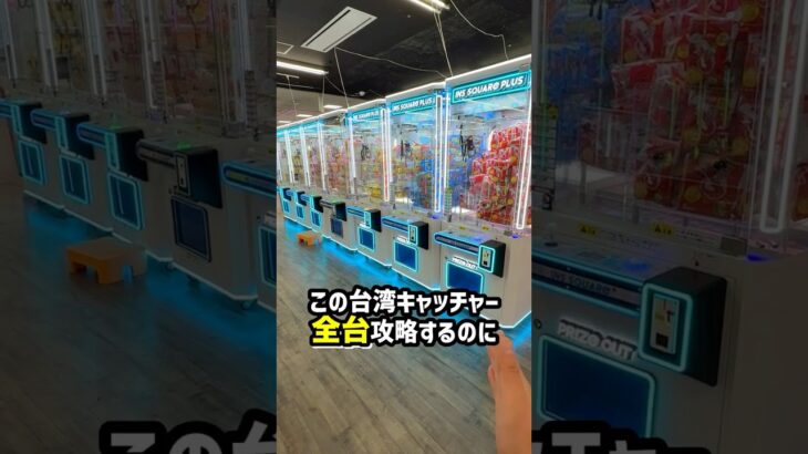 北海道のゲーセンで台湾キャッチャー全台チャレンジしたらまさかの結果に、、、#shorts #クレーンゲーム #ufoキャッチャー #ゲーセン #ゲームセンター #万代札幌藤野店