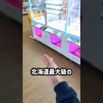 北海道最大級のゲーセンでカートパンパンするのにいくらかかるのか挑戦してみたら、、、#shorts #クレーンゲーム #ufoキャッチャー #ゲーセン #ゲームセンター#万代BiVi新さっぽろ店