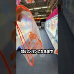 プロが鹿児島のゲーセンで袋パンパンするのにいくらかかるのか挑戦してみたら、、、#shorts #クレーンゲーム #ufoキャッチャー #ゲーセン #ゲームセンター #arcade