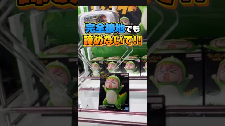 【橋渡し】完全接地から完全攻略する方法!! #shorts #ufoキャッチャー #クレーンゲーム #クレゲ #clawmachine #ゲームセンター #フィギュア