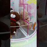 いろいろやってみるよ👍 #元気になる動画 #shortsfeed #すごい #楽しい #ufoキャッチャー #クレーンゲーム #shorts #おすすめ #ゲーム実況 #攻略 #元気お届け