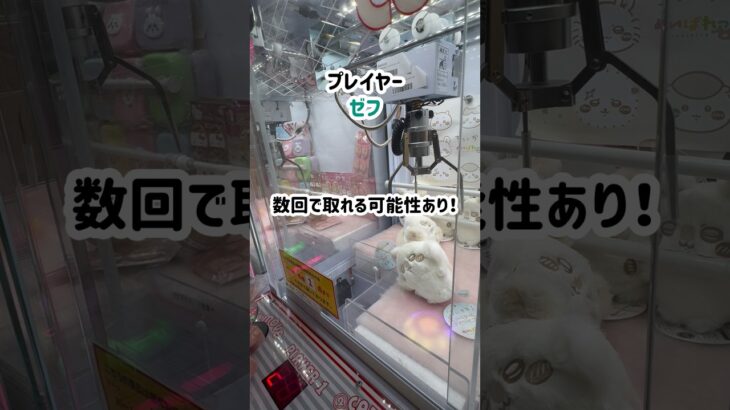 【ベネクス浦和店】人気景品激アツ台でお得に取ってみた！！#ちいかわ #ポケモン #お菓子 #ぬいぐるみ #ufoキャッチャー #クレーンゲーム #ゲームセンター