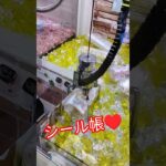 まさかの🎉‼️‼️‼️ #クレーンゲーム #クレーンゲーム攻略 #ゲームセンター #クレーンゲーム景品 #ufoキャッチャー #ミニクレーンゲーム #シール帳