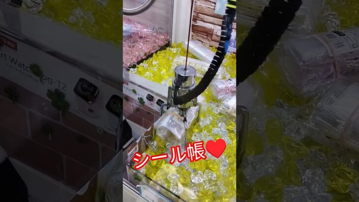 まさかの🎉‼️‼️‼️ #クレーンゲーム #クレーンゲーム攻略 #ゲームセンター #クレーンゲーム景品 #ufoキャッチャー #ミニクレーンゲーム #シール帳