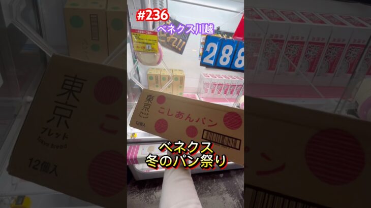 買うよりお得‼︎ベネクスでパンを取りに行こう　#クレーンゲーム #ベネクス川越 #ufoキャッチャー #パン #パン祭り